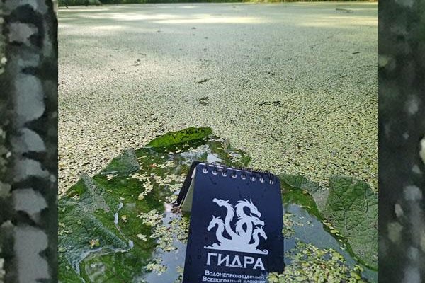 Вместо гидры