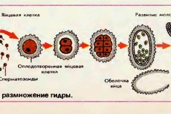 Кракен маркетплейс что там продают