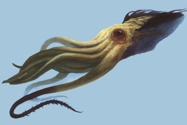 Craken12 at
