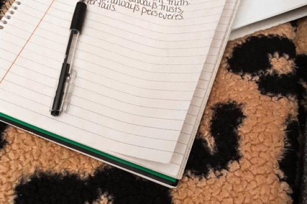 Заказать даркнет